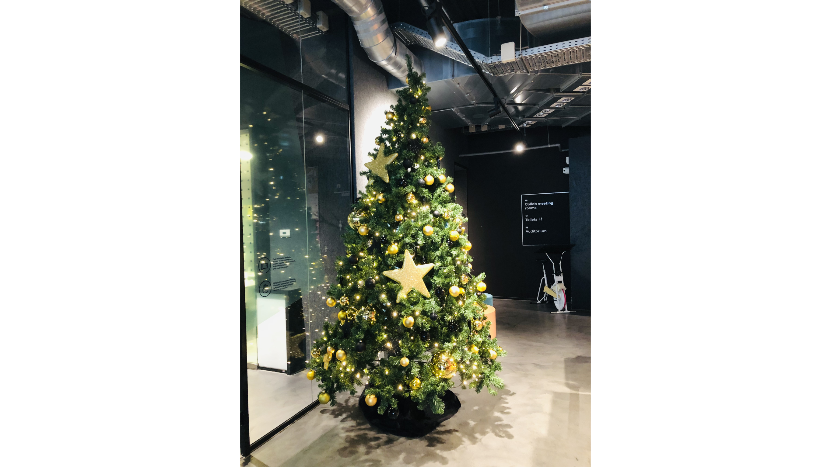 Christmas tree at a coworking space